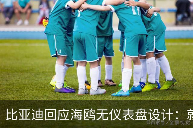 比亚迪回应海鸥无仪表盘设计：就算中控黑屏 关键信息也能显示