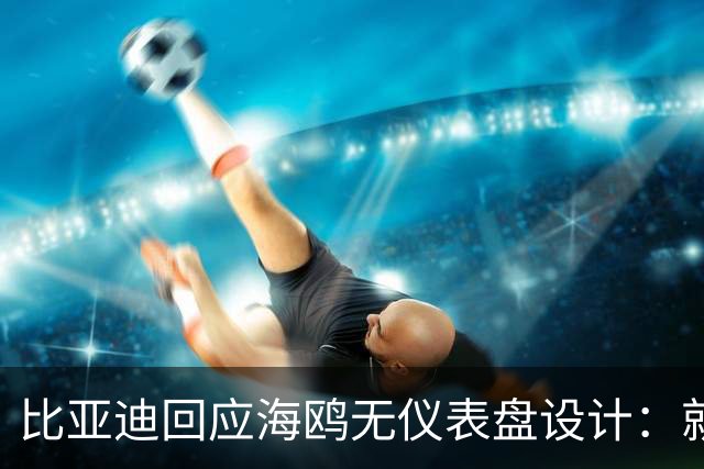 比亚迪回应海鸥无仪表盘设计：就算中控黑屏 关键信息也能显示
